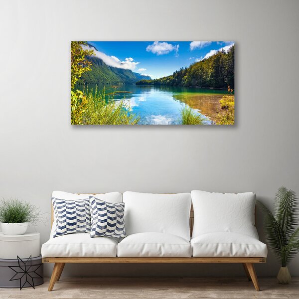 Obraz canvas Barwny Dywan Tulipanów