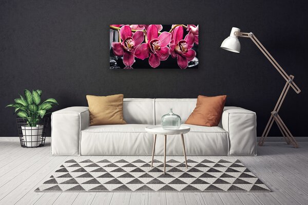 Obraz canvas Pędy Storczyka w Rozkwicie