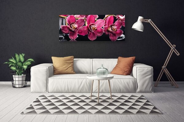 Obraz canvas Pędy Storczyka w Rozkwicie