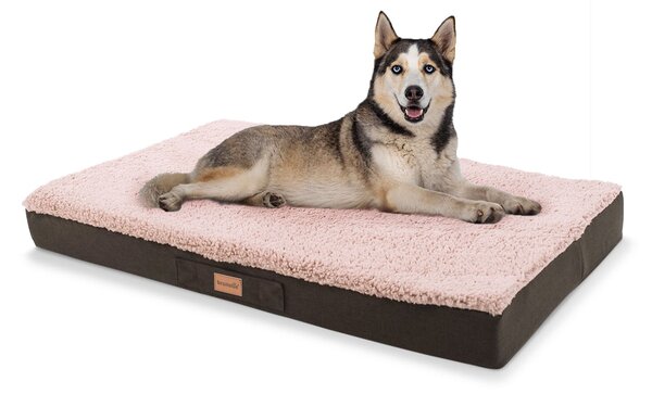Brunolie Balu, legowisko dla psa, możliwość prania, ortopedyczne, antypoślizgowe, oddychające, pianka z pamięcią kształtu, rozmiar L (100 × 10 × 65 cm)