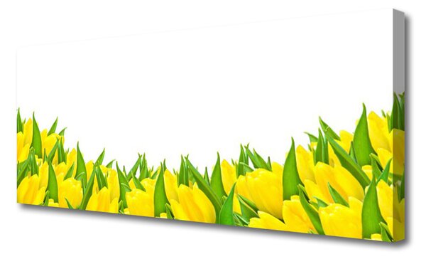 Obraz canvas Klasyczna Elegancja Tulipanów
