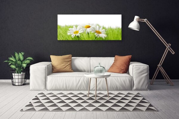 Obraz canvas Białe Stokrotki w Zieleni