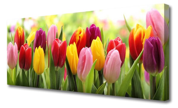 Obraz canvas Pastelowy Bukiet Tulipanów