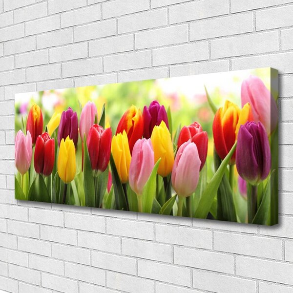 Obraz canvas Pastelowy Bukiet Tulipanów