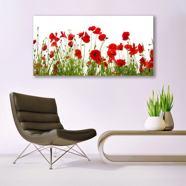 Obraz canvas na ścianę Czerwone Maki w Letnim Polu