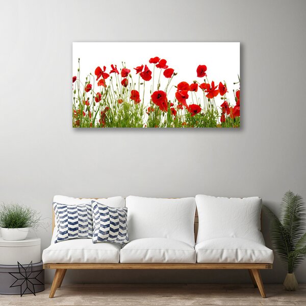 Obraz canvas na ścianę Czerwone Maki w Letnim Polu
