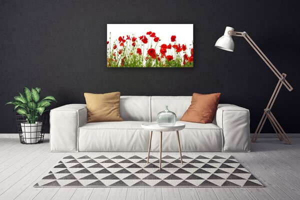 Obraz canvas na ścianę Czerwone Maki w Letnim Polu