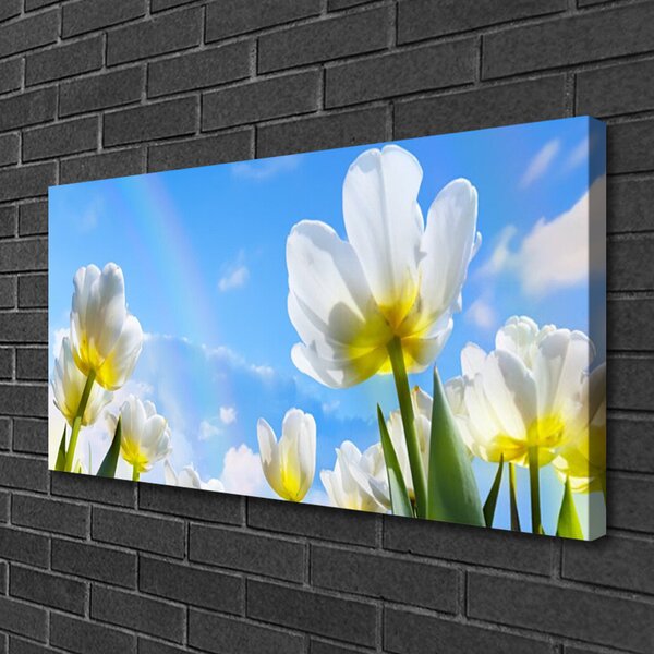 Obraz canvas na ścianę Ogród Kolorowych Tulipanów