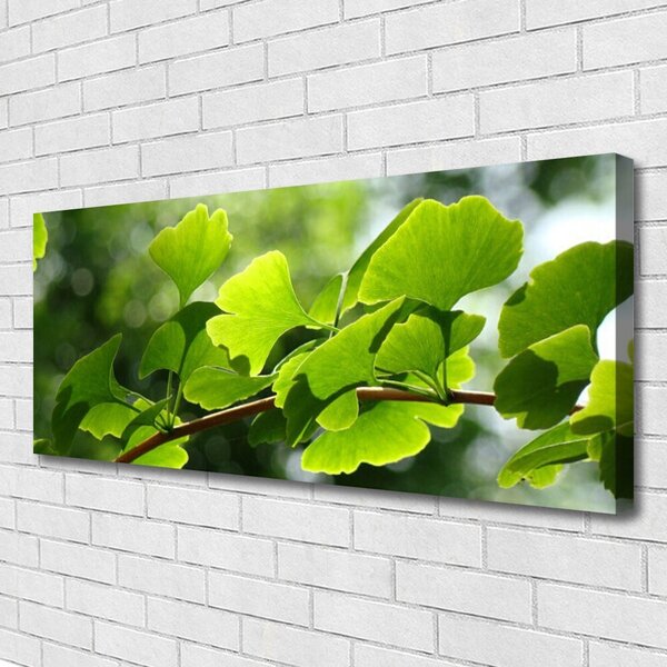 Obraz canvas na ścianę Zielone Liście na Gałęzi