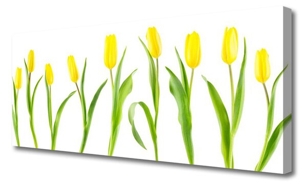 Obraz canvas na ścianę Słoneczne Żółte Tulipany