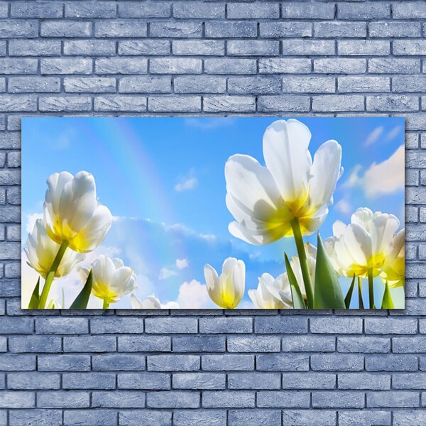 Obraz canvas na ścianę Ogród Kolorowych Tulipanów