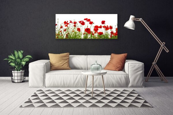 Obraz canvas na ścianę Czerwone Maki w Letnim Polu