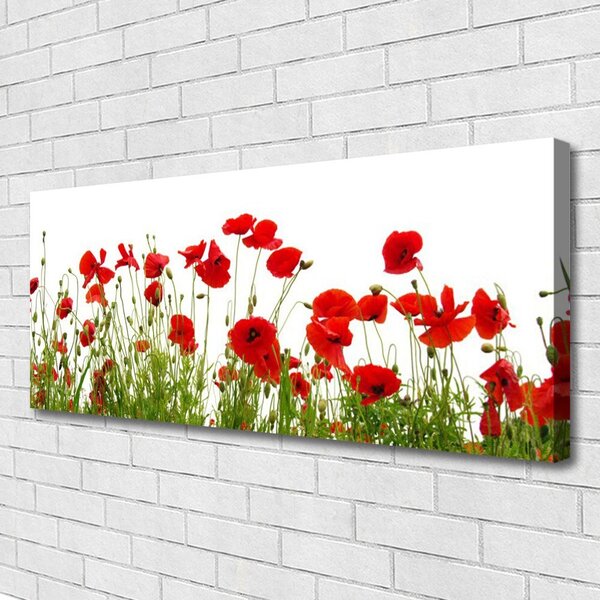 Obraz canvas na ścianę Czerwone Maki w Letnim Polu