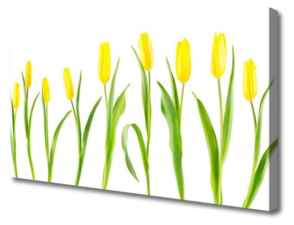 Obraz canvas na ścianę Słoneczne Żółte Tulipany