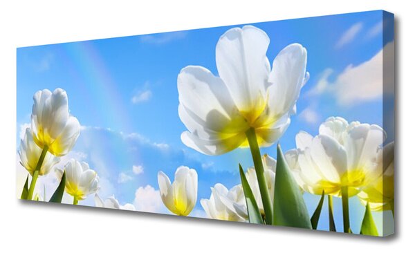 Obraz canvas na ścianę Ogród Kolorowych Tulipanów