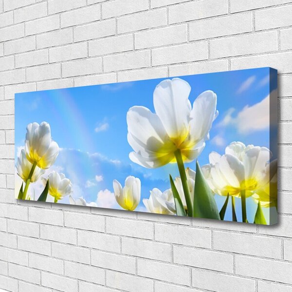 Obraz canvas na ścianę Ogród Kolorowych Tulipanów