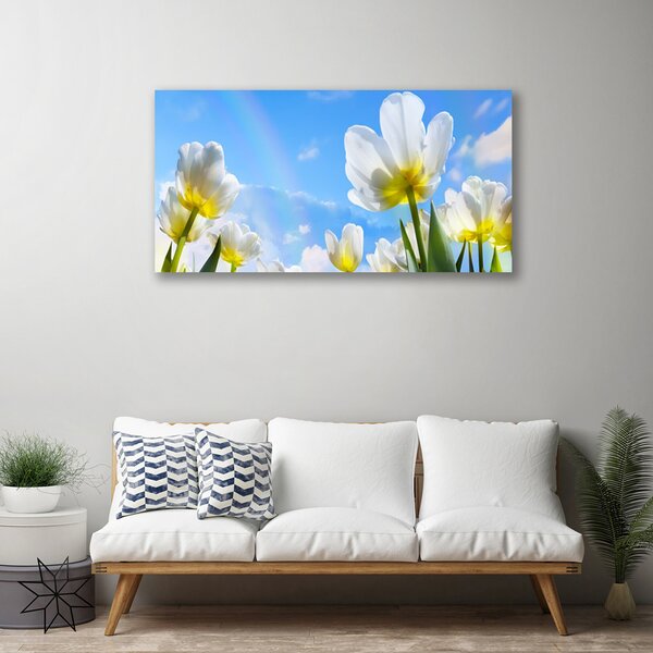Obraz canvas na ścianę Ogród Kolorowych Tulipanów