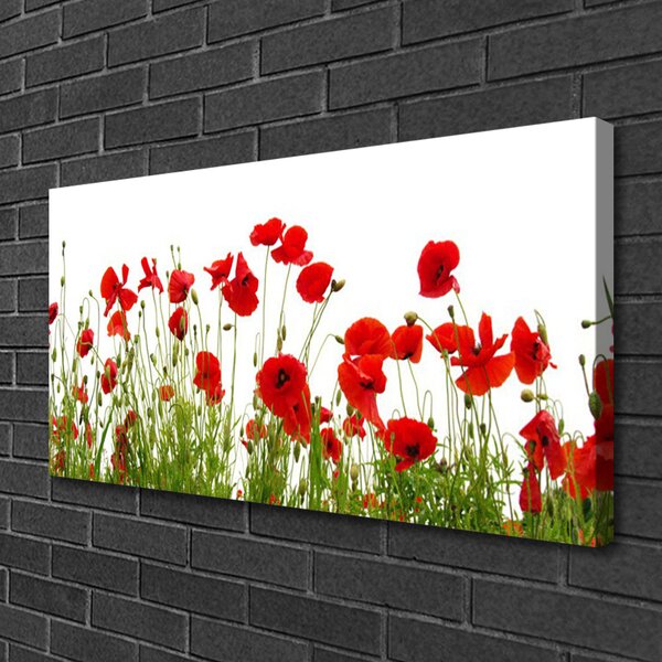 Obraz canvas na ścianę Czerwone Maki w Letnim Polu