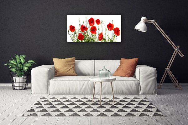 Obraz canvas na ścianę Polne Maki w Rozkwicie
