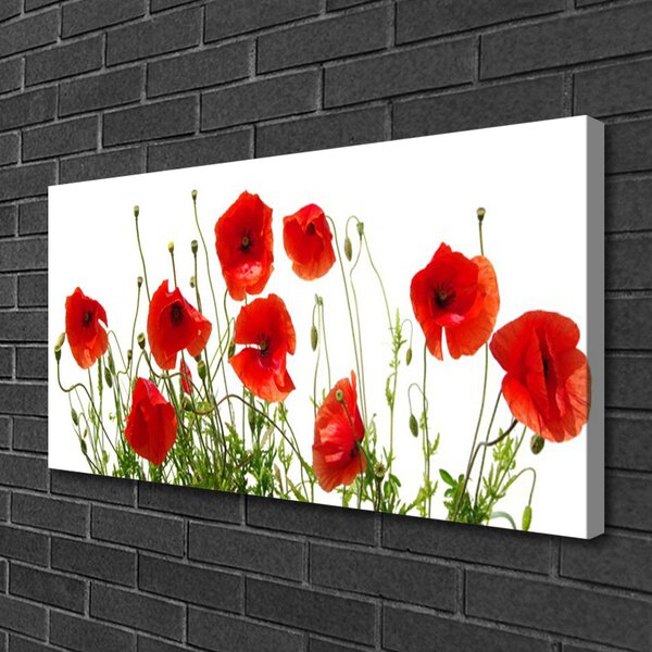 Obraz canvas na ścianę Polne Maki w Rozkwicie