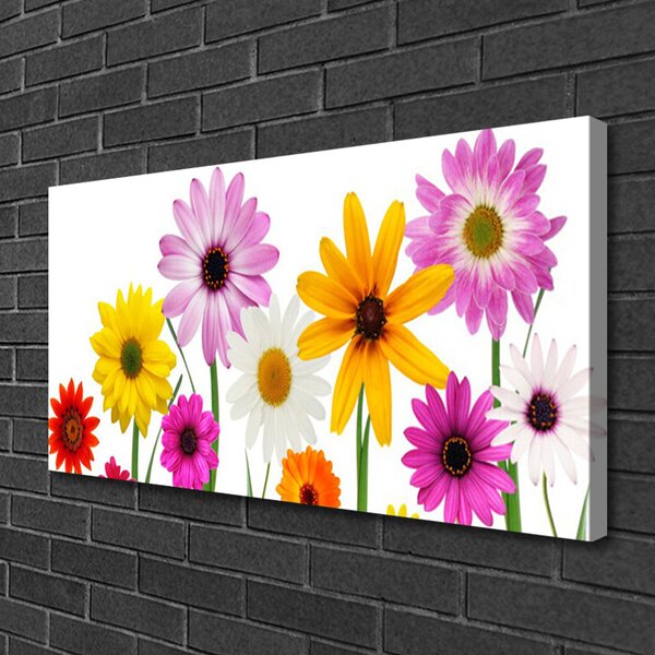 Obraz canvas na ścianę Radosna Łąka Pełna Kwiatów