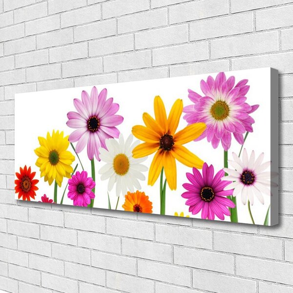Obraz canvas na ścianę Radosna Łąka Pełna Kwiatów