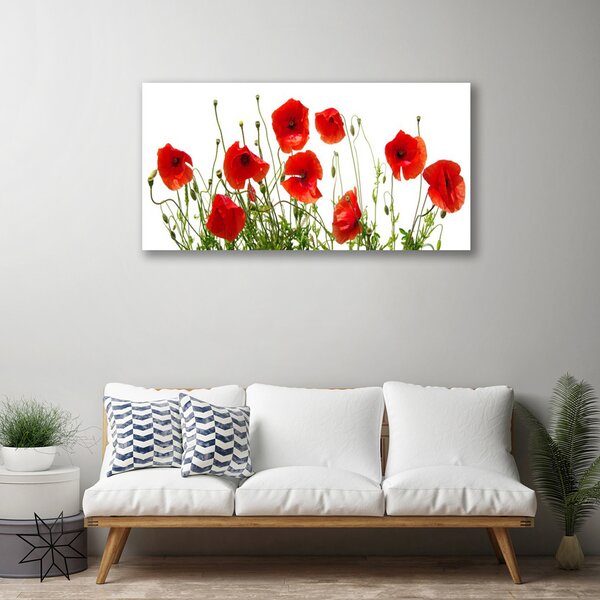 Obraz canvas na ścianę Polne Maki w Rozkwicie