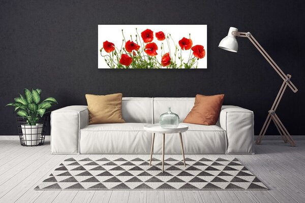 Obraz canvas na ścianę Polne Maki w Rozkwicie