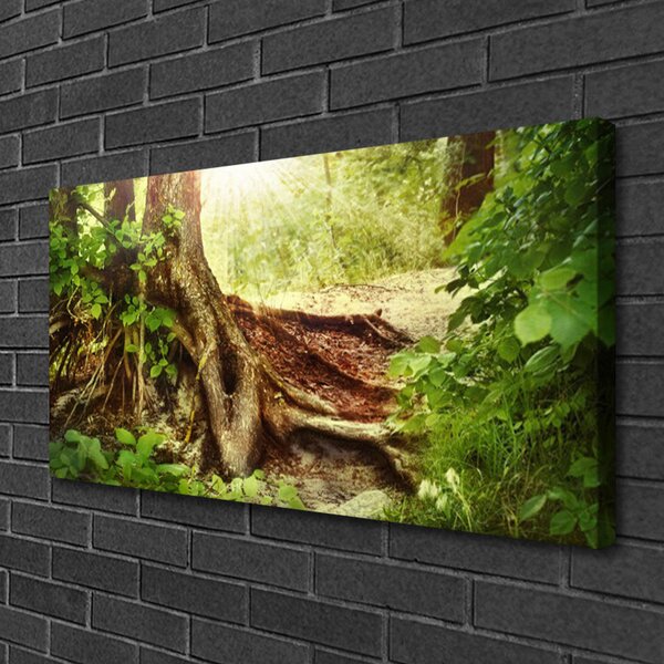 Obraz canvas na ścianę Tekstura Pnia Drzewa w Lesie