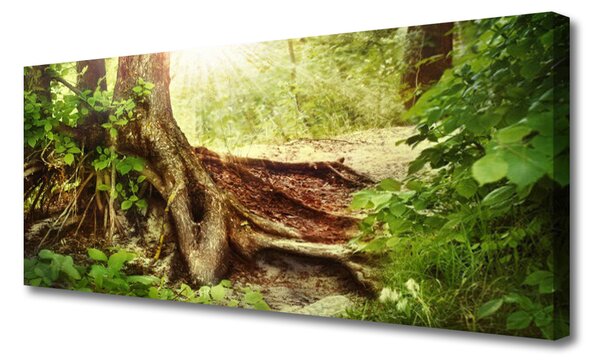 Obraz canvas na ścianę Tekstura Pnia Drzewa w Lesie