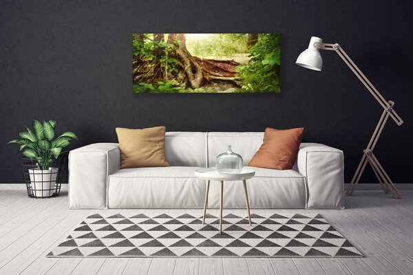 Obraz canvas na ścianę Tekstura Pnia Drzewa w Lesie
