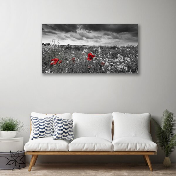 Obraz canvas na ścianę Sielska Polana Kwiatowa
