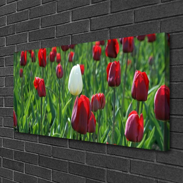 Obraz canvas na ścianę Romantyczny Ogród Tulipanowy