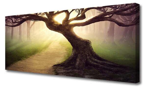 Obraz canvas na ścianę Promienie Słońca w Koronie Drzewa