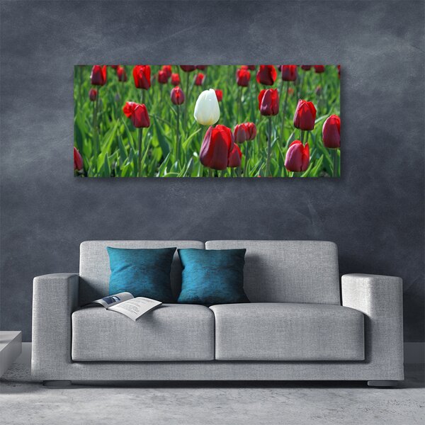 Obraz canvas na ścianę Romantyczny Ogród Tulipanowy