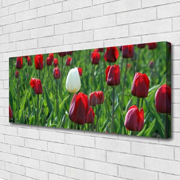Obraz canvas na ścianę Romantyczny Ogród Tulipanowy