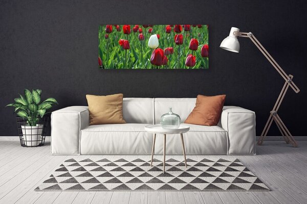 Obraz canvas na ścianę Romantyczny Ogród Tulipanowy