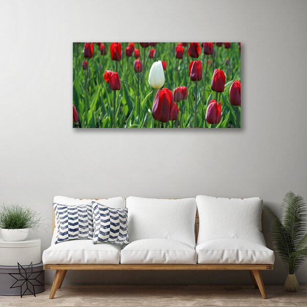 Obraz canvas na ścianę Romantyczny Ogród Tulipanowy
