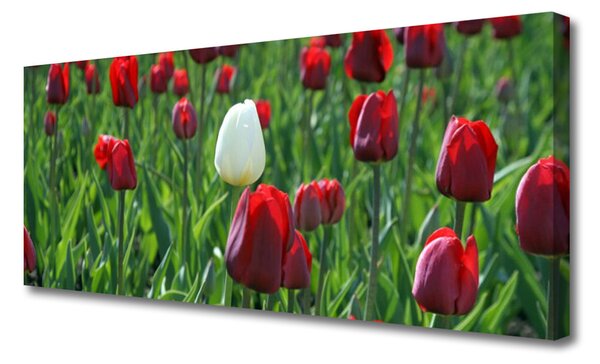 Obraz canvas na ścianę Romantyczny Ogród Tulipanowy
