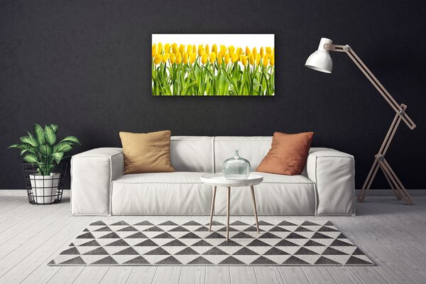 Obraz canvas Tulipany w Porannym Słońcu