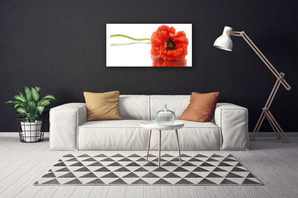 Obraz canvas Naturalny Bukiet Botaniczny