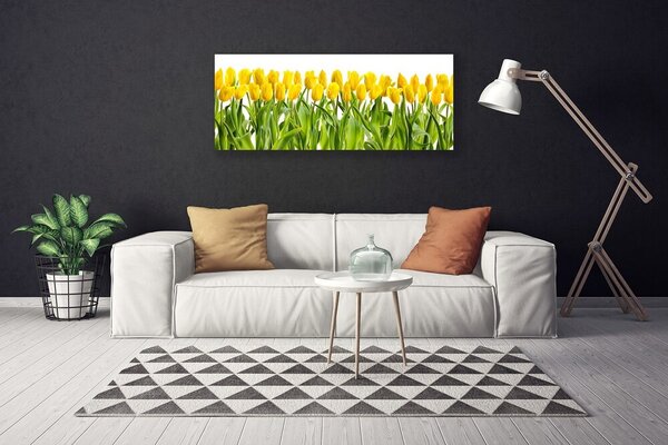 Obraz canvas Tulipany w Porannym Słońcu