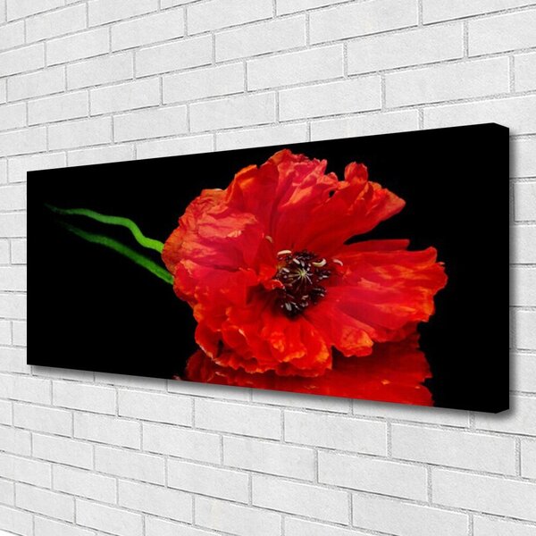 Obraz canvas Samotny Mak w Polu