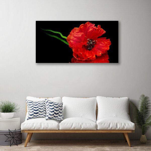 Obraz canvas Samotny Mak w Polu