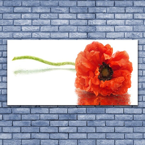 Obraz canvas Naturalny Bukiet Botaniczny