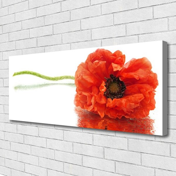 Obraz canvas Naturalny Bukiet Botaniczny