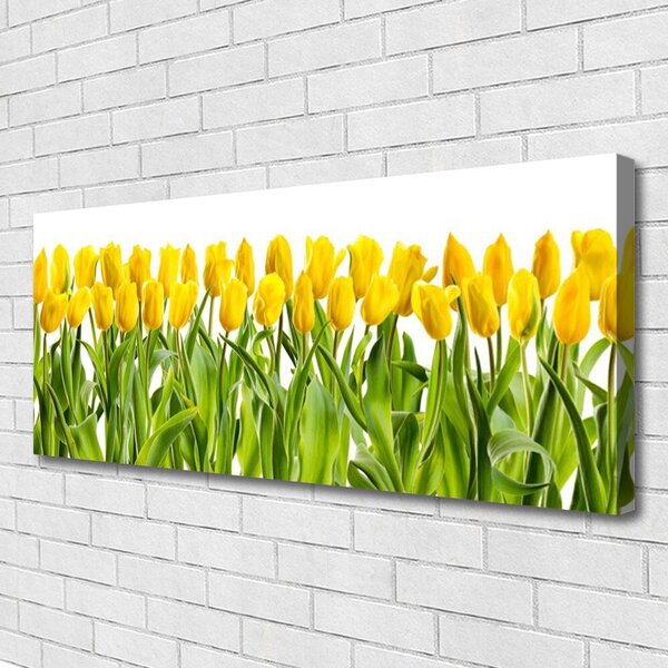 Obraz canvas Tulipany w Porannym Słońcu