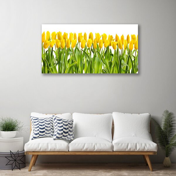 Obraz canvas Tulipany w Porannym Słońcu