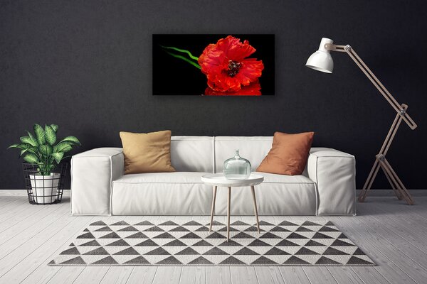 Obraz canvas Samotny Mak w Polu