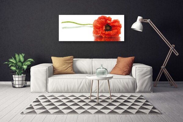 Obraz canvas Naturalny Bukiet Botaniczny